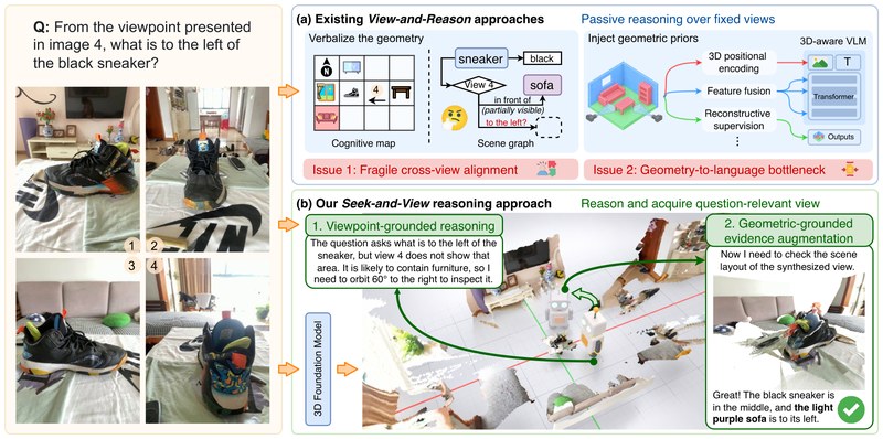 Seek-and-View reasoning overview